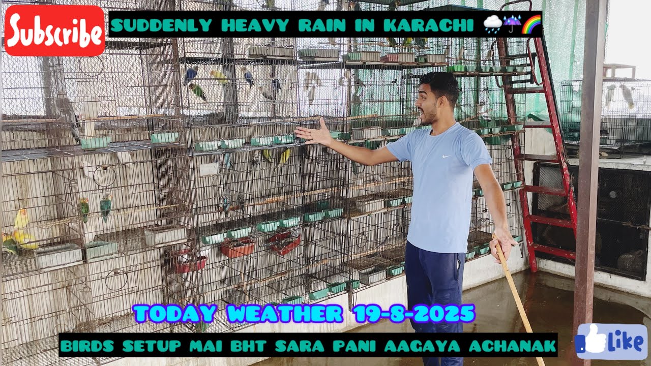 ACHANAK BARISH HOGAYI ⛈️☔️💧BIRDS SETUP MAI BHT SARA PANI BHR GAYA 19-8-2025 #trendingviral #birds 