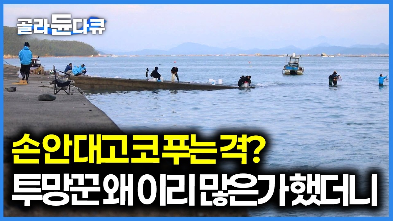투망꾼들 몰린 이유가 있었네, 광어 양식장 퇴수구에서 흘러나온 사료 먹으러 몰려드는 고기 떼｜한국기행｜#골라듄다큐