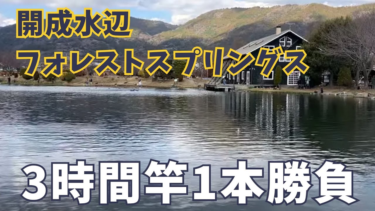 【竿1本3時間勝負】開成水辺フォレストスプリングスで釣り