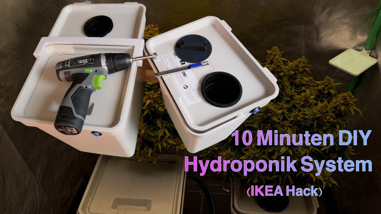 10 Minuten Hydroponik | DWC (Kratky) System mit 10 Liter & 20 Liter Tank einfach selbst gebaut