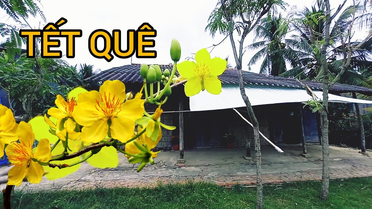 Tết Quê - Tết Cổ Truyền Miền Tây. Ký Ức và Truyền Thống Ngày Tết.
