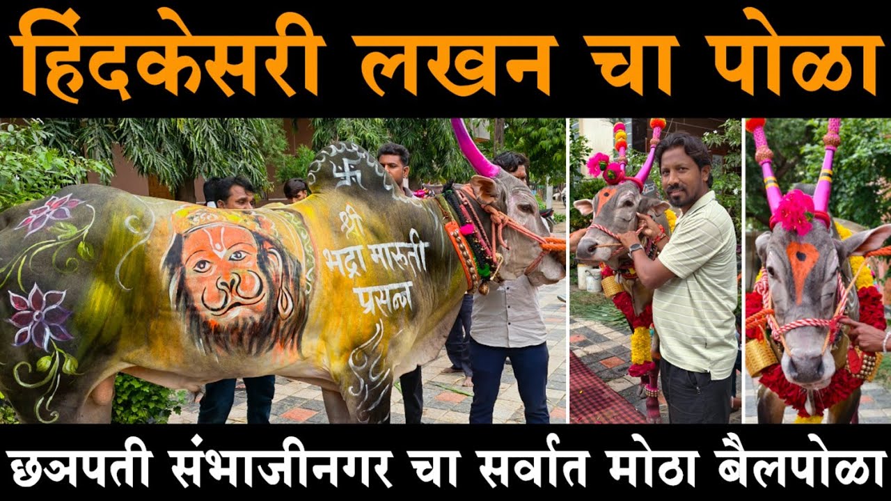हिंदकेसरी लखन चा पोळा | बैलपोळ्या निमित्त लखन ची निघाली करोडी गावात जंगी मिरवणूक 