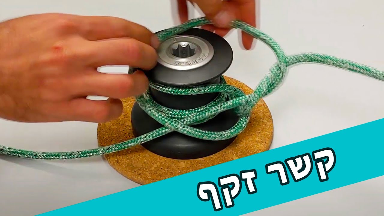 קשר זקף
