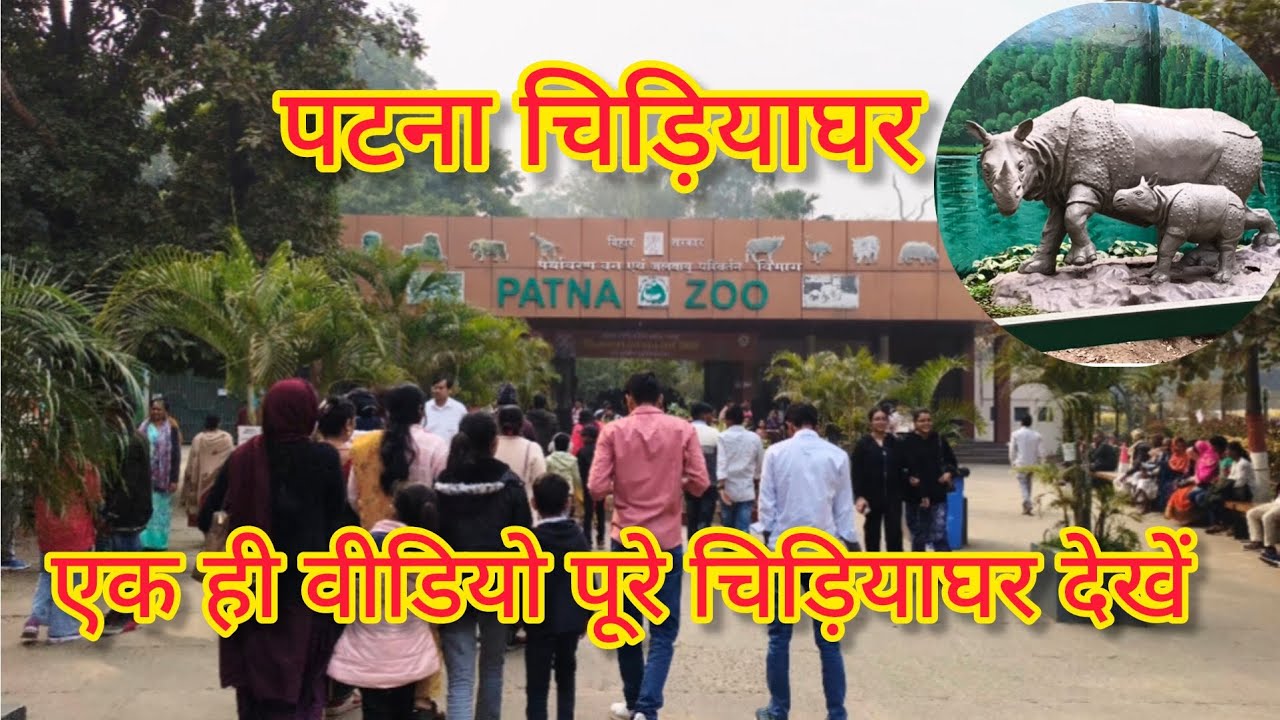 पटना चिड़ियाघर ! Patna zoo ! Sanjay Gandhi Biological park ! Patna zoo video ! Patna Bihar zoo🦚🐅 