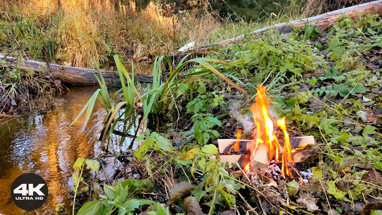 💧 4K Campfire by a Forest Stream | 3 Hours of Fire & Raven Calls (No AI)