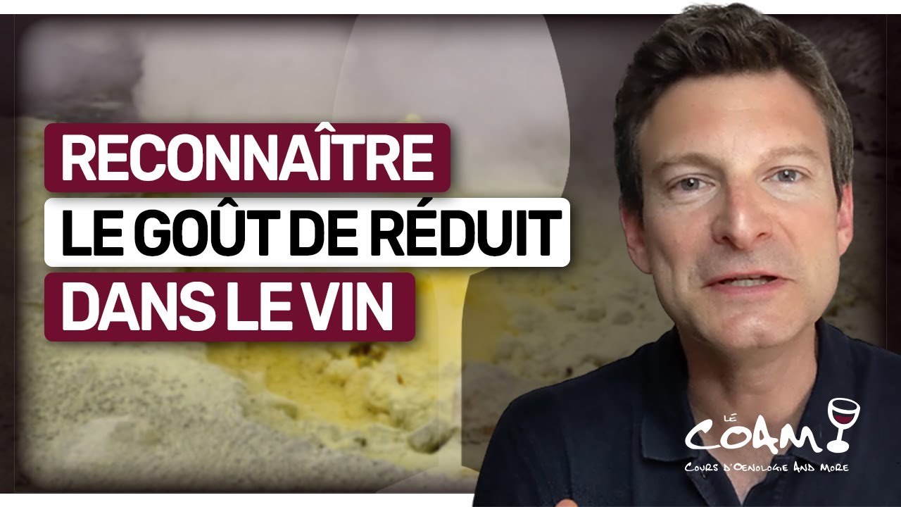 Voilà comment reconnaître la RÉDUCTION dans le vin (leçon n°198)