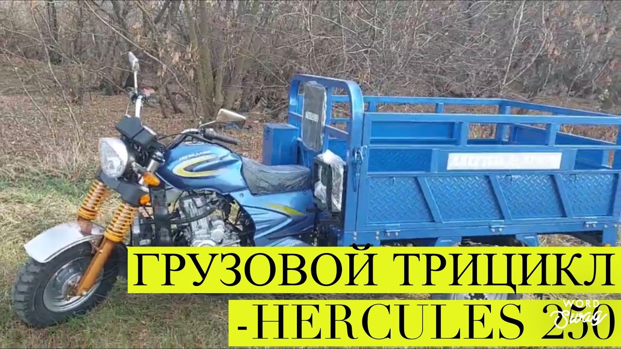 Грузовой Трицикл Муравей MotoLeader Hercules 250 Обзор👍