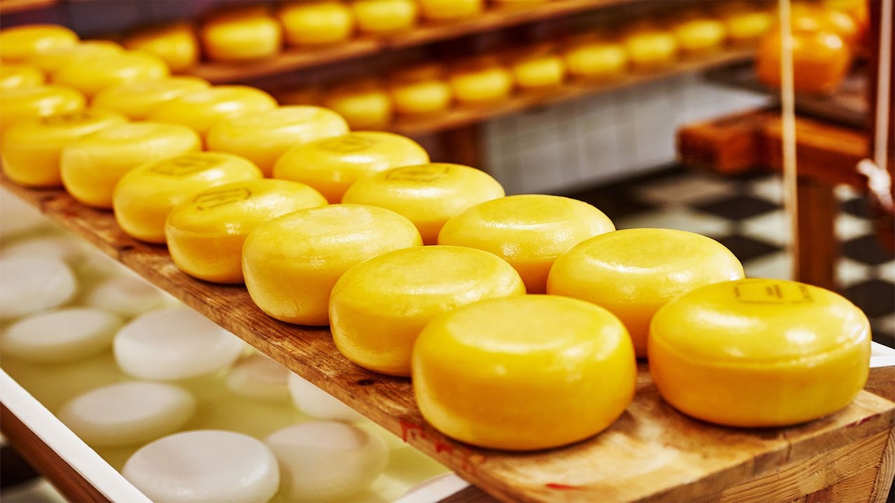 Why Cheddar is Orange When Milk is White