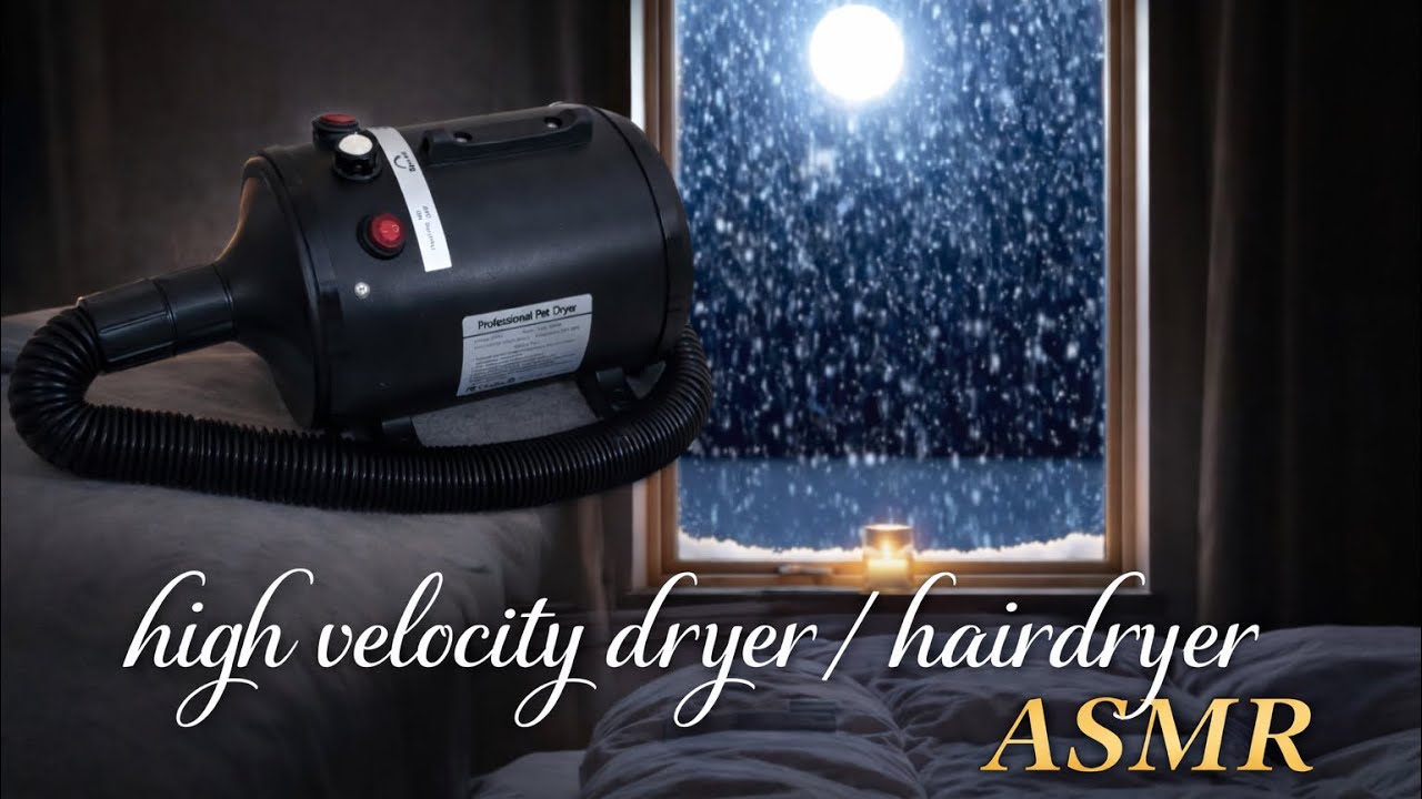 High Velocity Dryer ASMR | Soothing Hairdryer Sound for Deep Relaxation