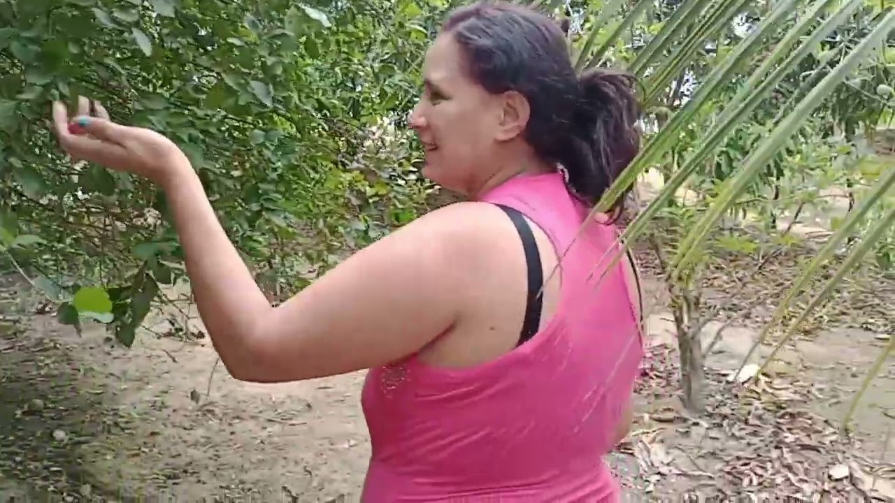 Boa noite gente amostrando os pés de fruta que tem no sítio da minha cunhada Cissa parte 1