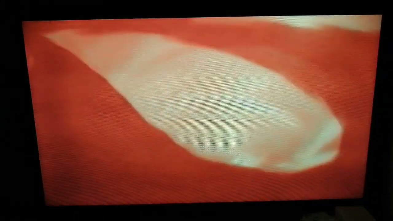 VHS Fin : Les 101 Dalmatiens 1998 Bonus (Extrait Taram et le Chaudron Magique 1)