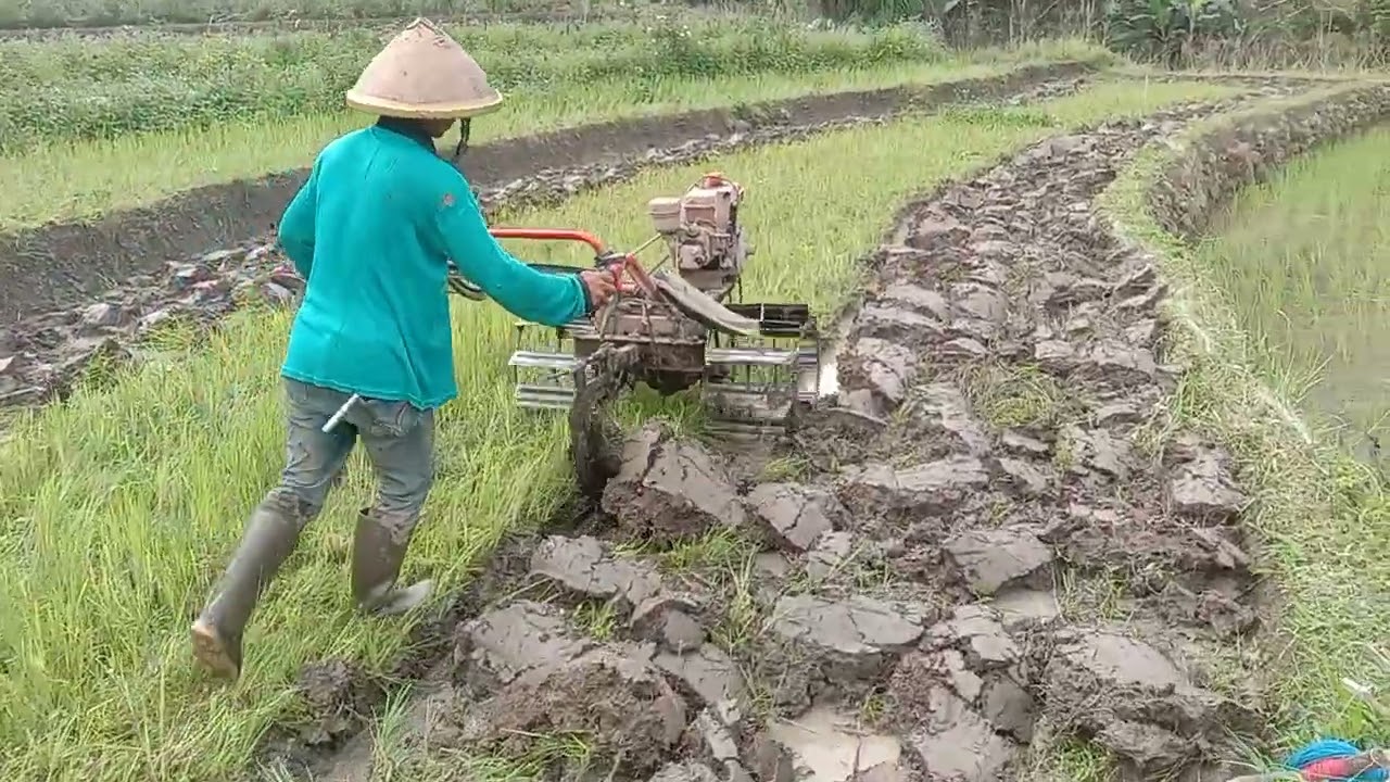 traktor capung metal membajak  singkalan besar-besar
