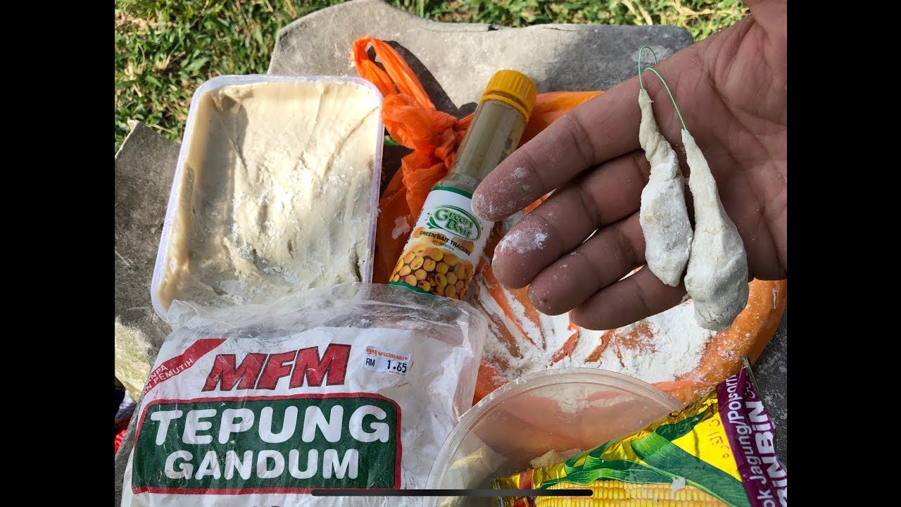 Umpan Cakoi for Ikan Keli