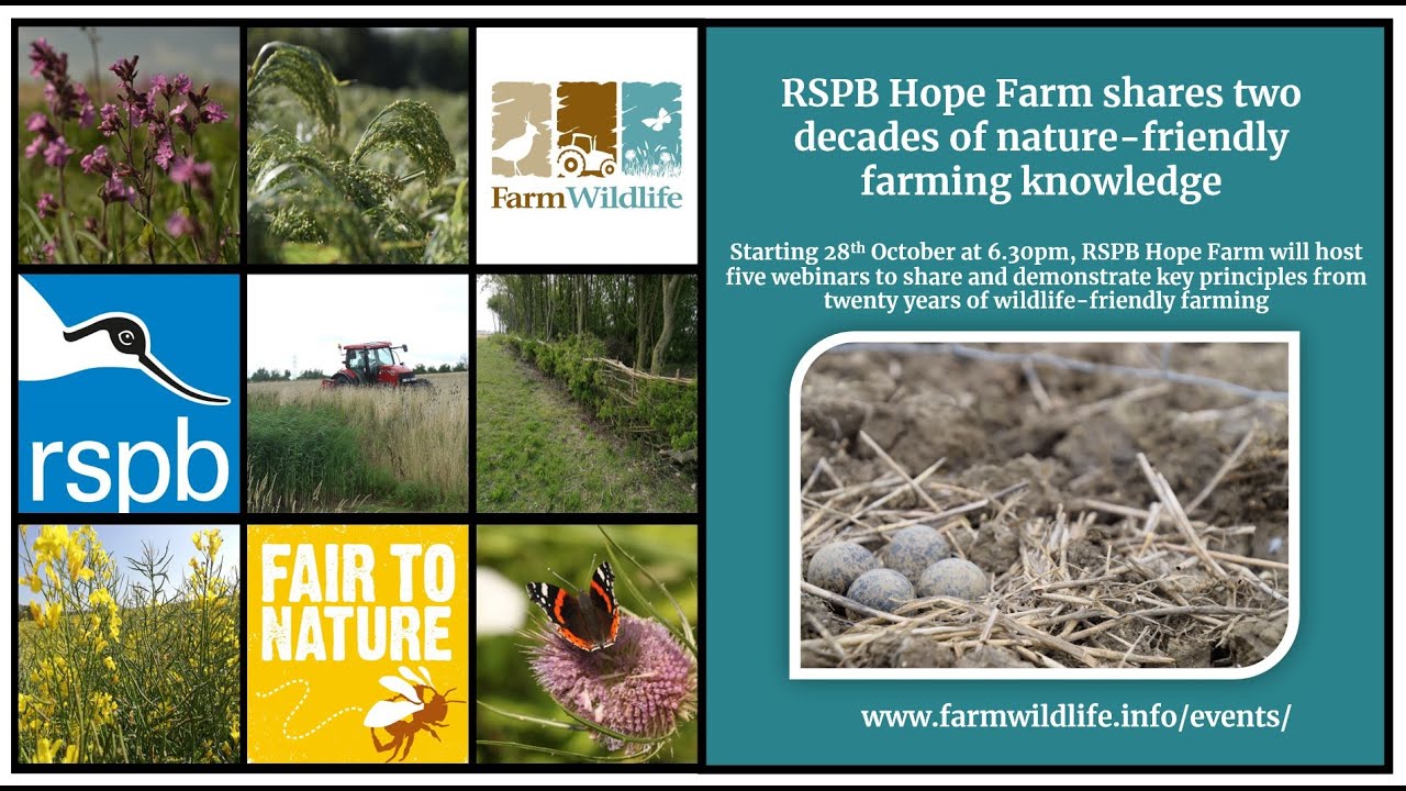 Hope Farm 20th Anniversary Webinar Series: A plan for wildlife-friendly & productive arable farming