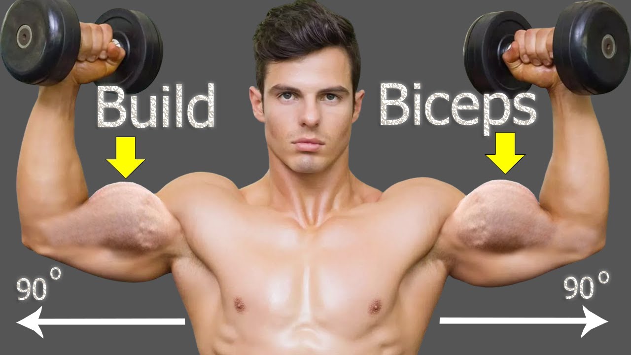 How to build biceps fast - best gym