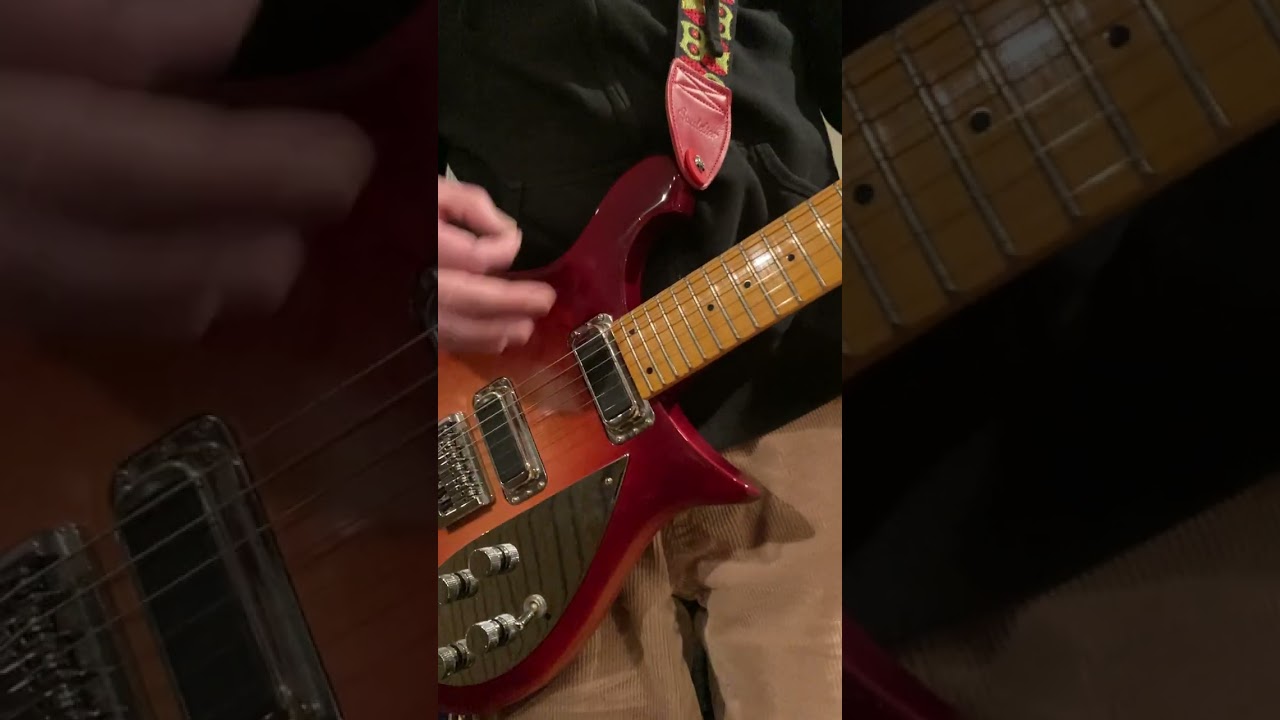 Rickenbacker 650