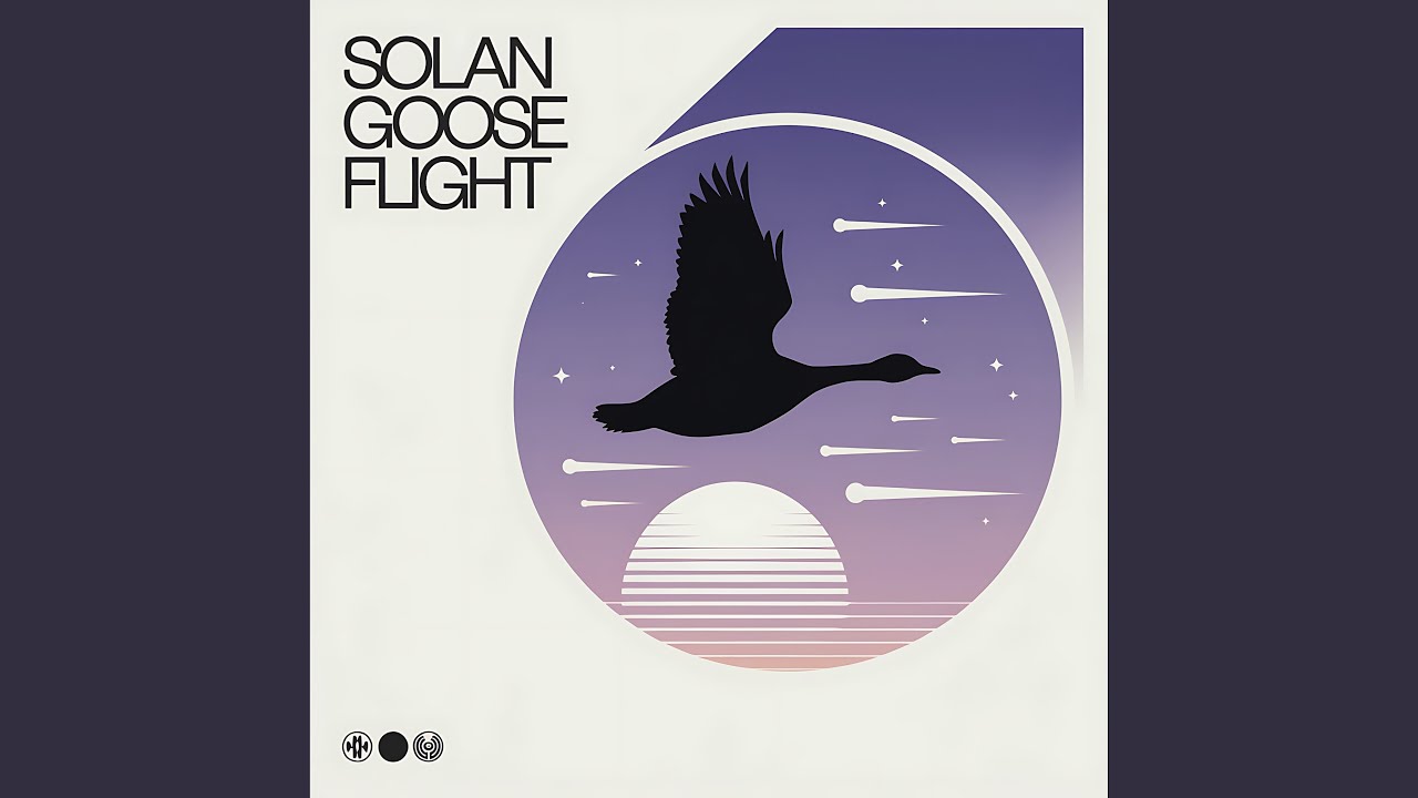 Solan Goose&acute;s Flight