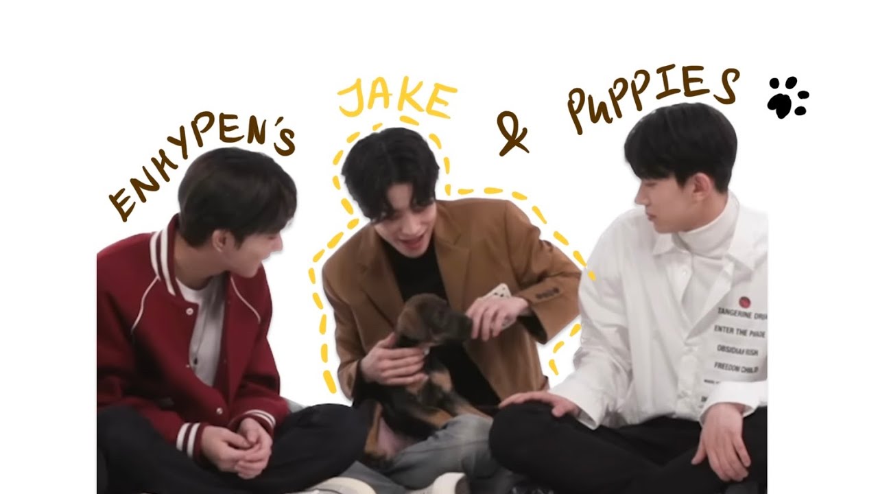 Jake with puppies 😍 (things you might not notice in #enhypen Puppies interview 🤍) #enhypenjake