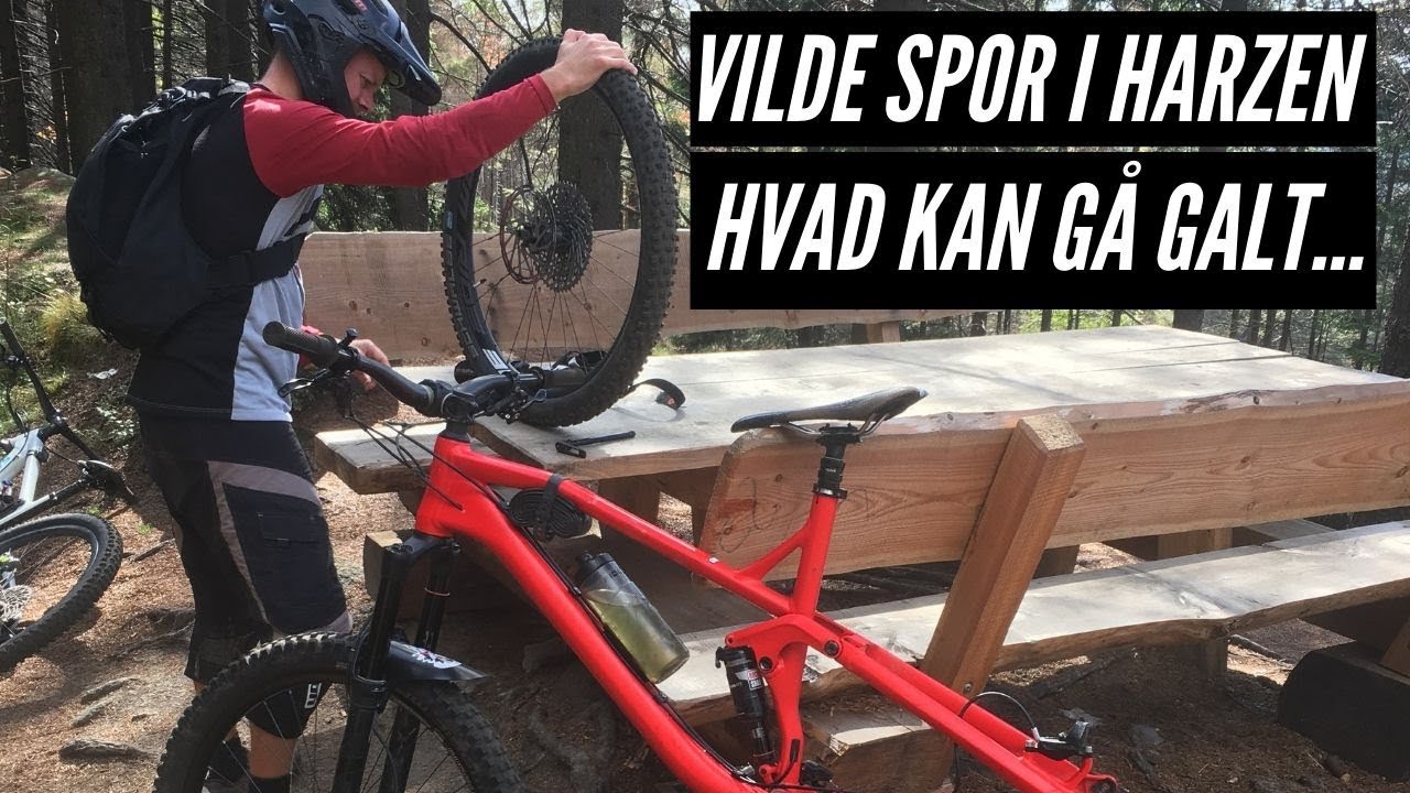 VILDE SPOR//MTB HARZEN SEPTEMBER 2019