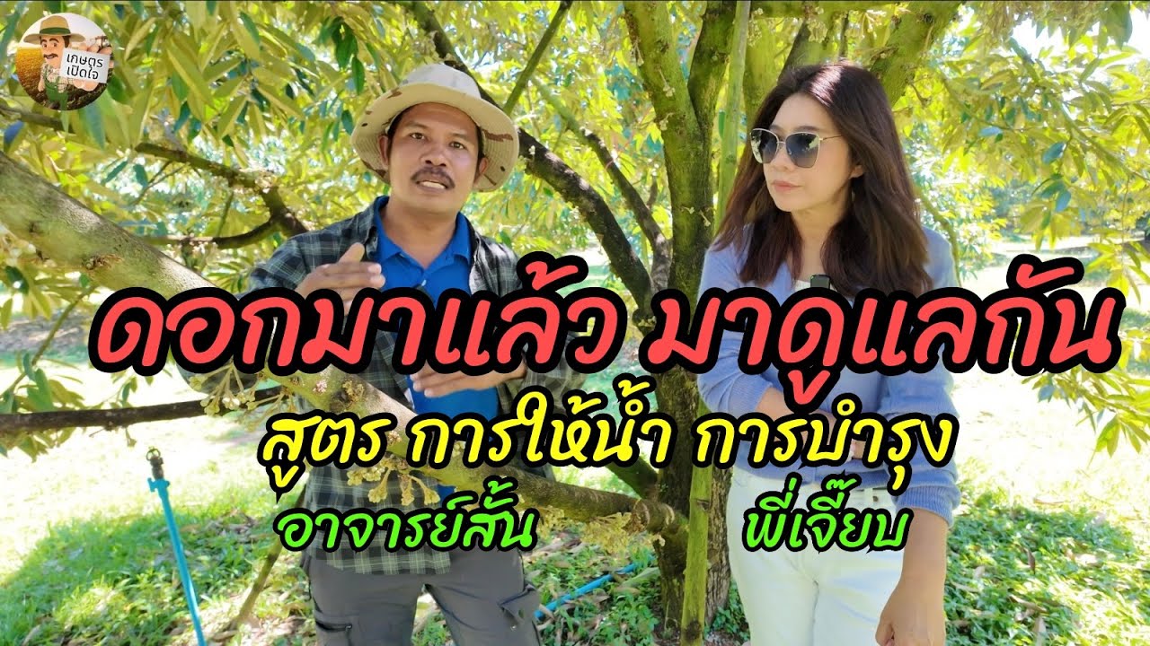 ดอกมาแล้วจ้า จะให้น้ำ บำรุงดอกอย่างไร ถ้ายังไม่พอต้น ทำอย่างไรดี | อาจารย์สั้น