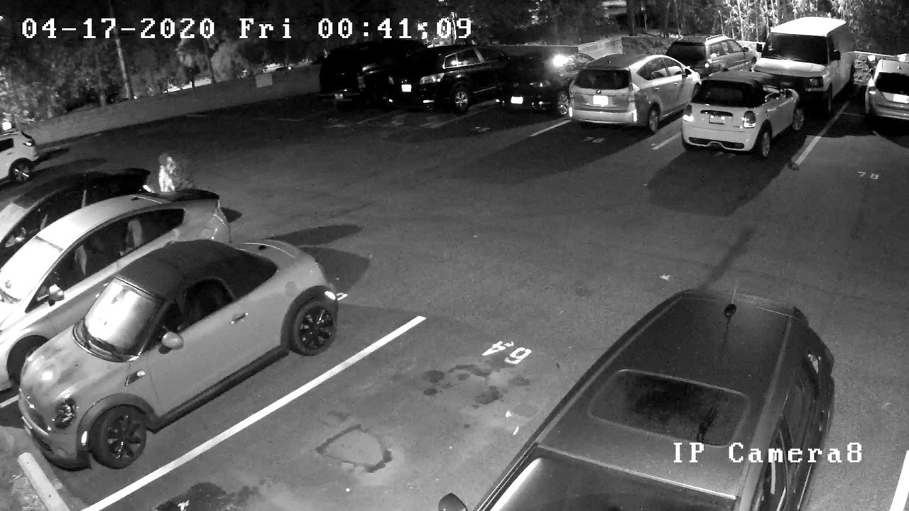 thieves looking for unlocked vehicles