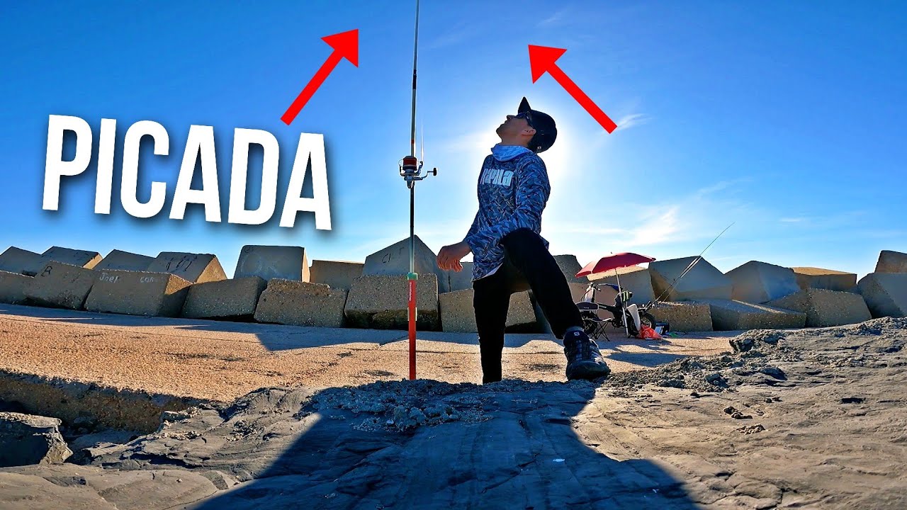 GALERA de cebo a SURFCASTING desde ESPIGÓN