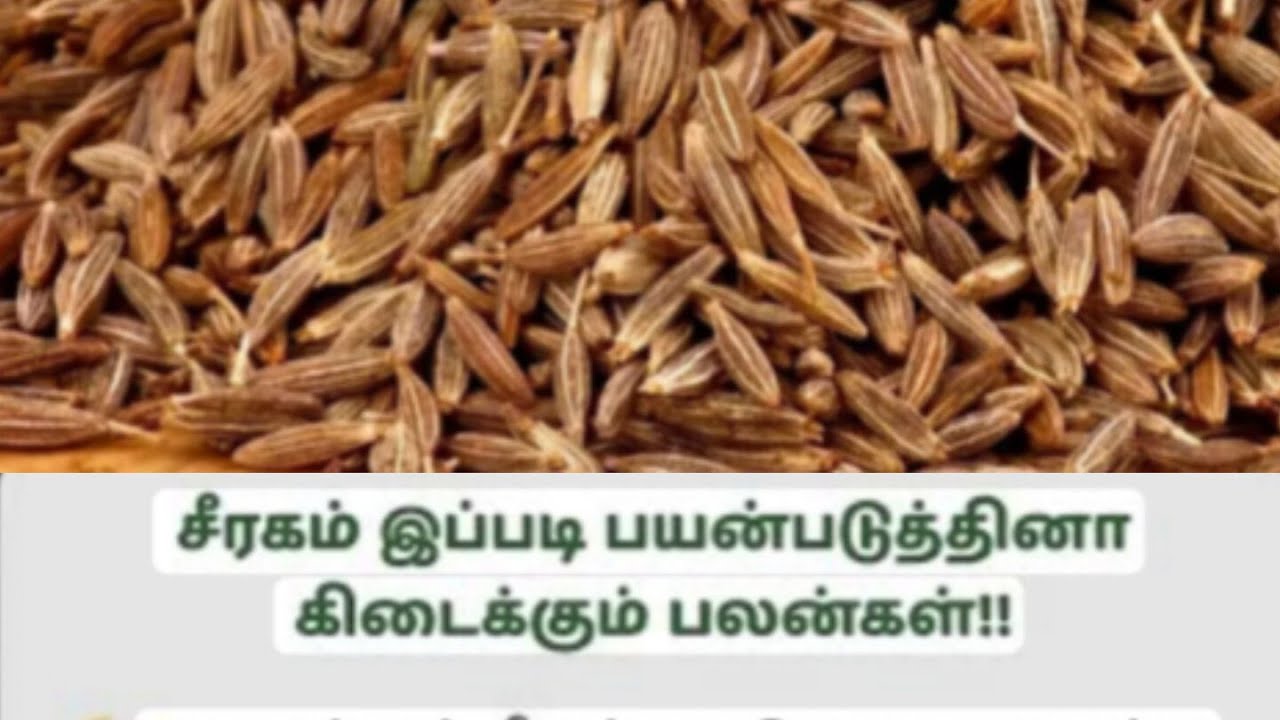 ஒரு டீஸ்பூன் சீரகம் போதும் உடல் எடை குறையும் 🤗👍🏻