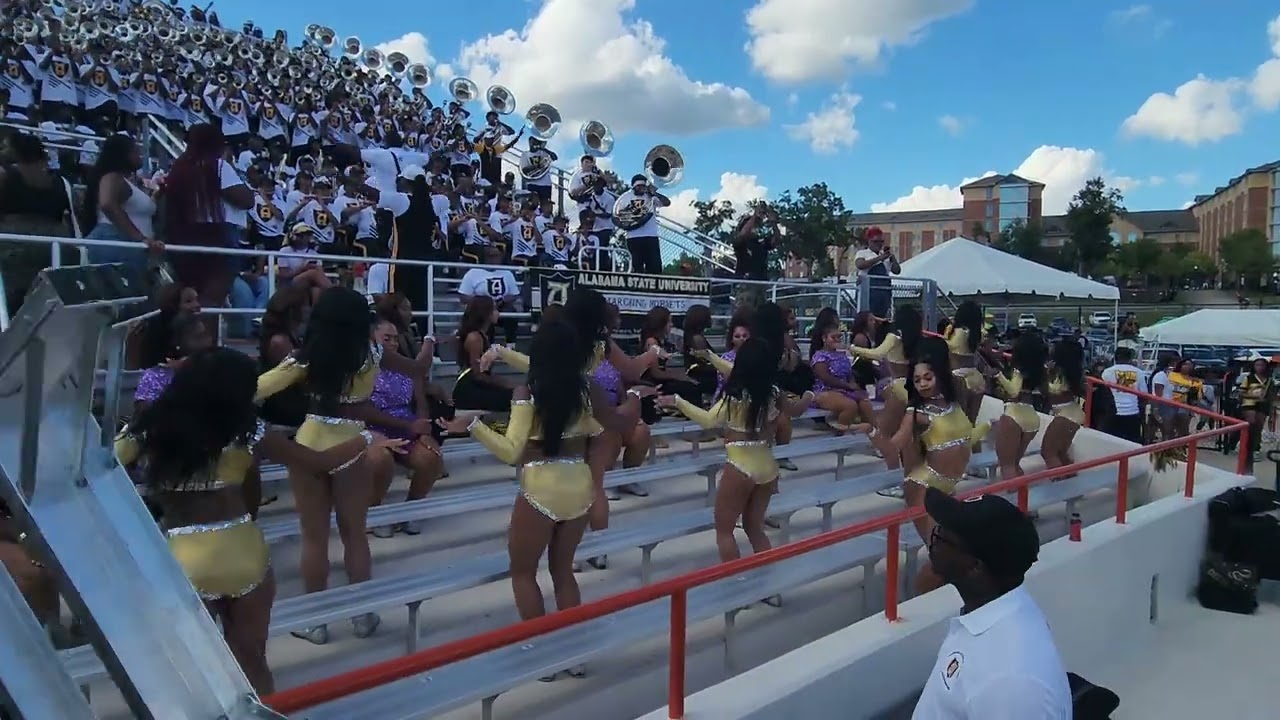 ASU Stingettes 2025  - Game Highlights (FAMU)