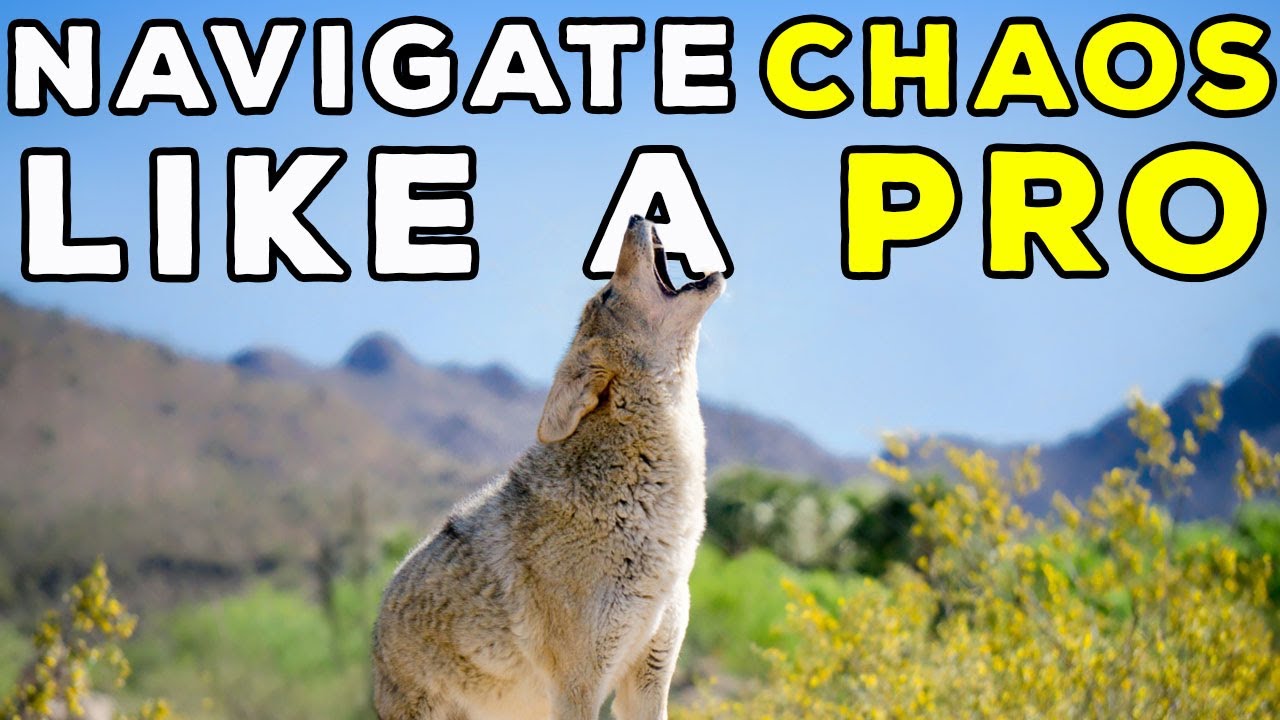 Can the Ute Tribes Coyotes Teach Us to Navigating Life&rsquo;s Chaos
