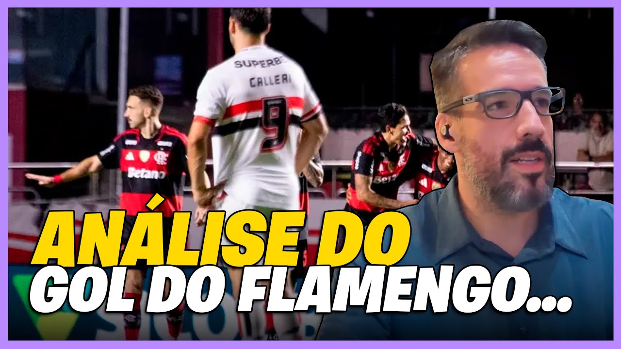 ANALISE DO GOL DO FLAMENGO ! TEVE ERRO  ?