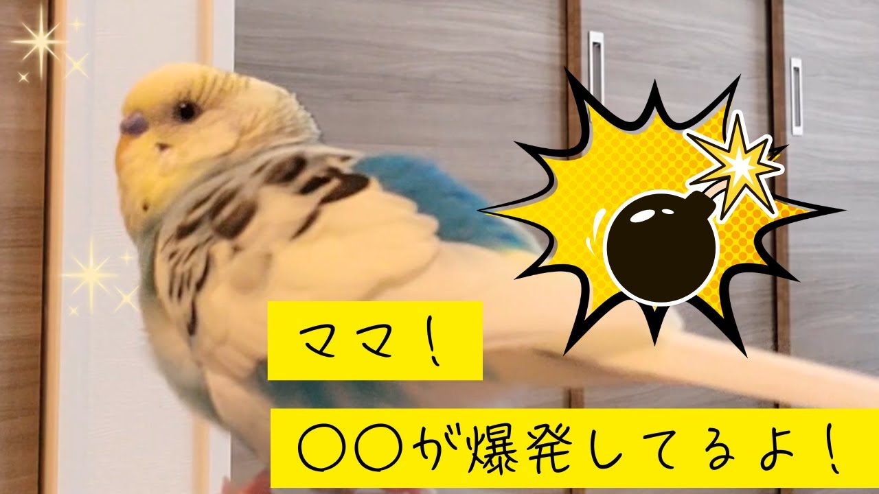 #007 20240829　何が爆発したの？！