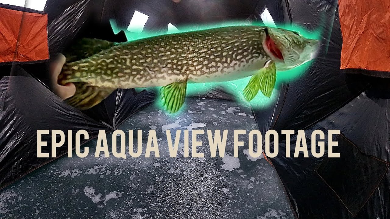 EPIC AQUA VIEW FOR BIG PIKE ( crazy pike strikes )