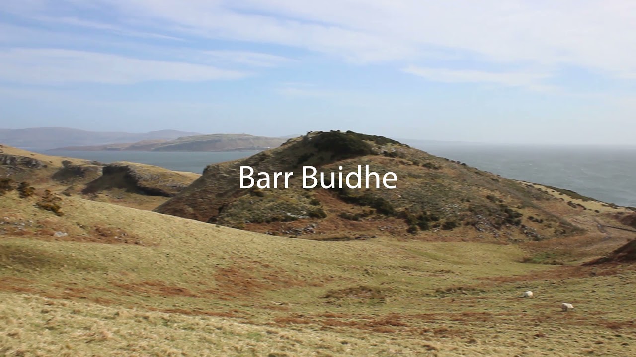Barr Buidhe