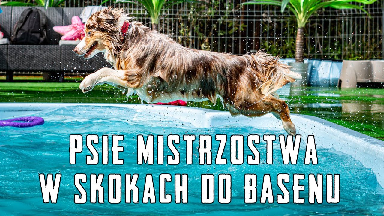 Mistrzostwa Piesełkowa w skokach do basenu 2019 🌊