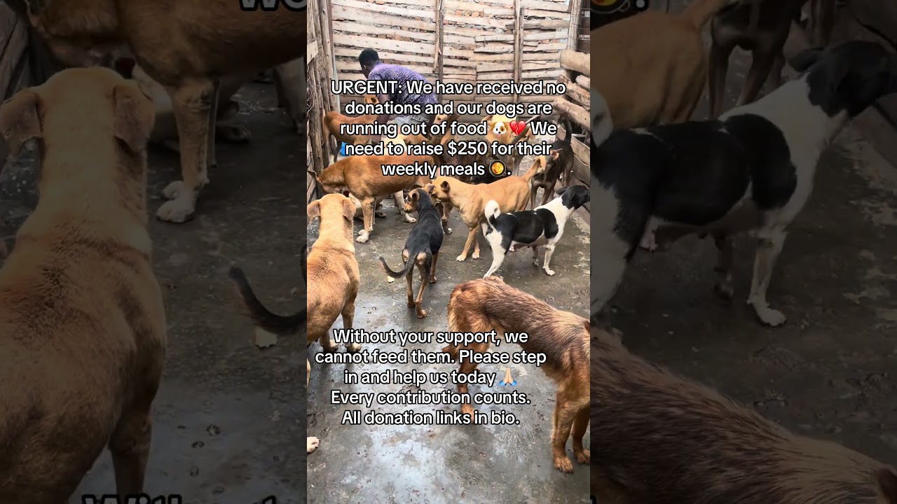 Пожалуйста, помогите нам сегодня 🙏🏼Каждый вклад важен. Все ссылки для пожертвований в профиле.