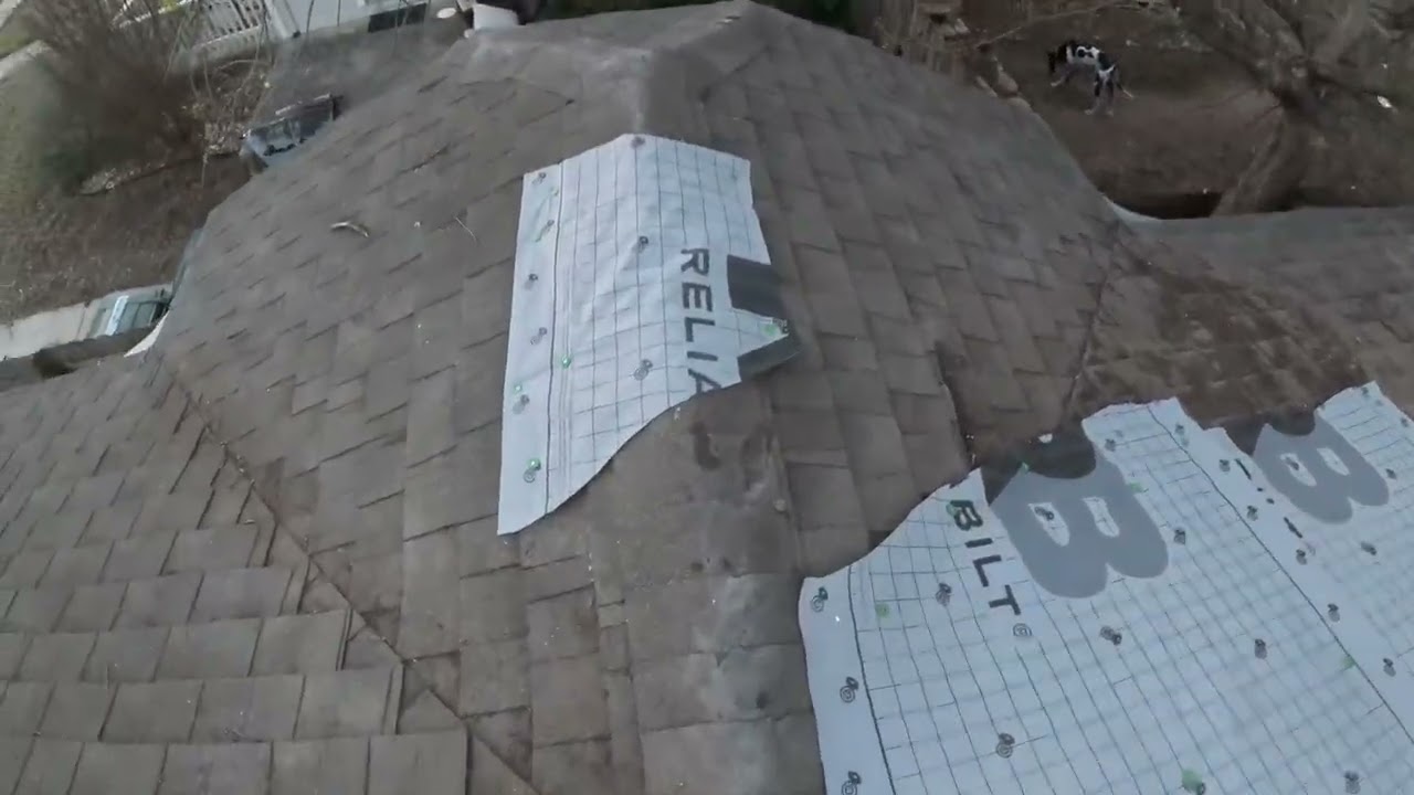 Grace Hernandez Roof Inspection 