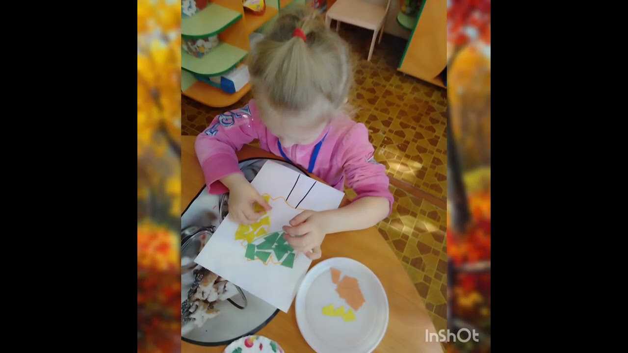 КЗДО 237 ДМР. Аплікація:
