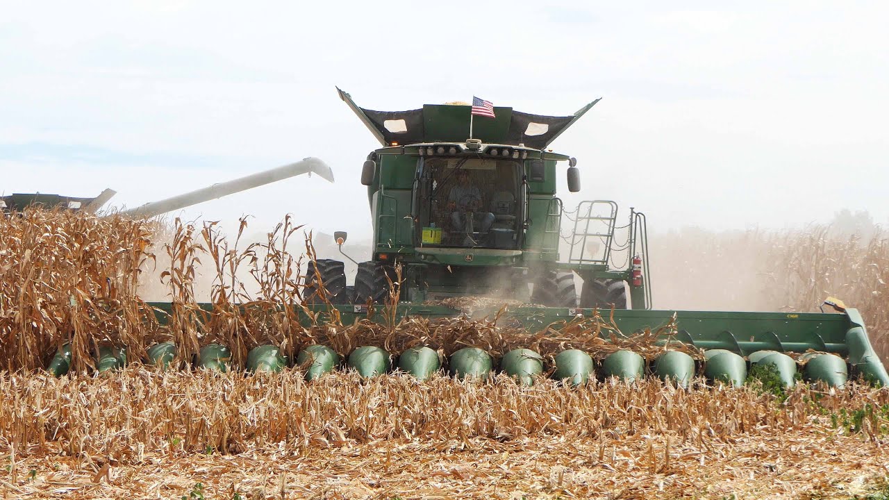 CORN HARVEST 2024 with John Deere S780 combines and 16-Row Corn Headers