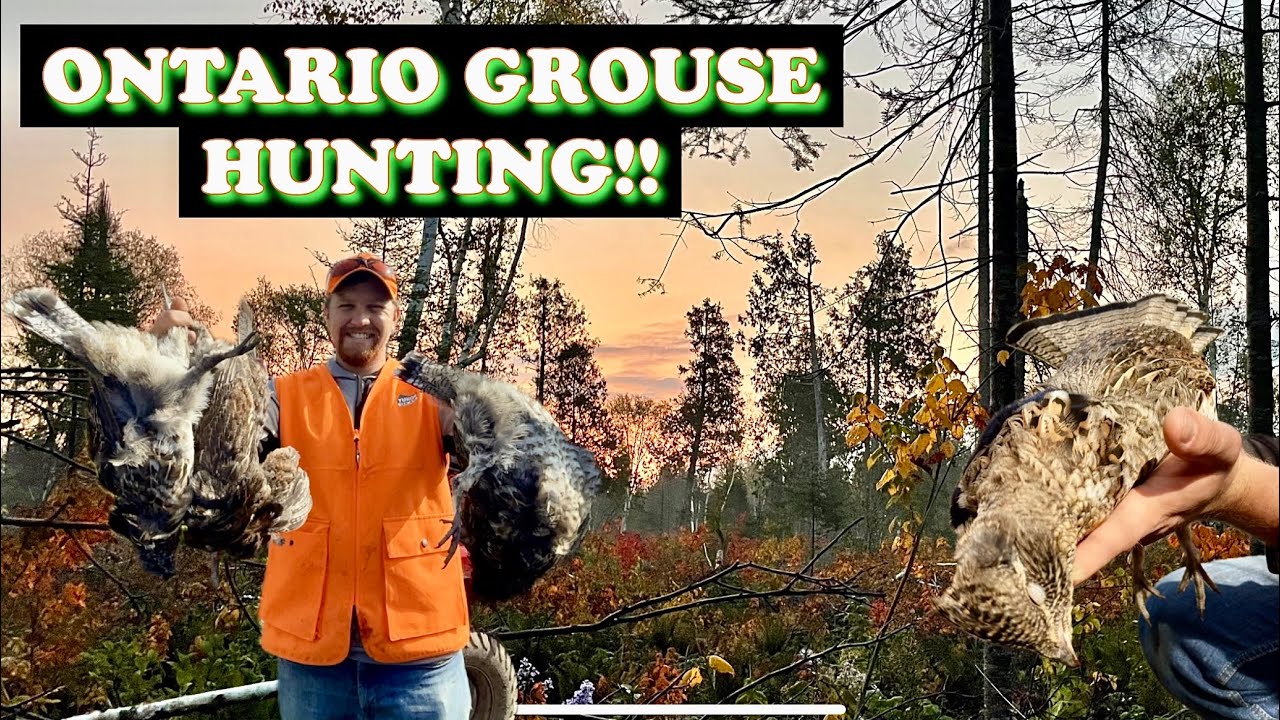 Ontario Partridge (Grouse) Hunting Late October