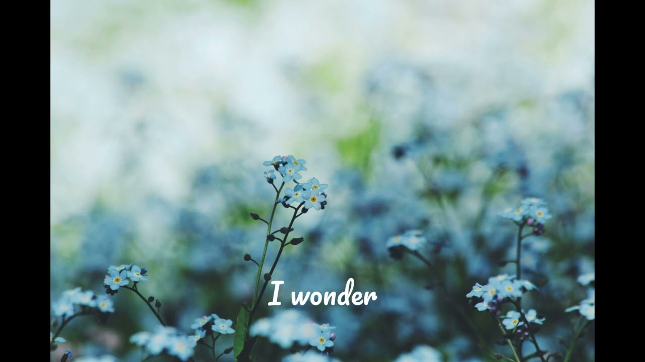 Dream Of Sleeping - You Should Forget Me