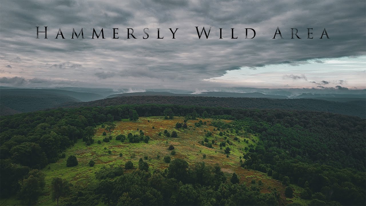 Backpacking In Pennsylvania's Most Remote Wilderness | Hammersley Wild Area | ADK & Beyond