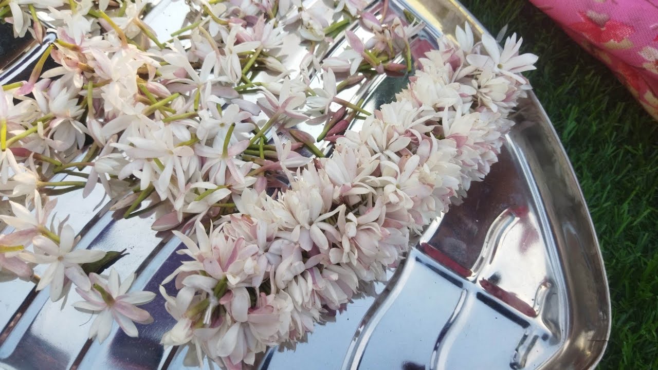 jaathi malli garland making