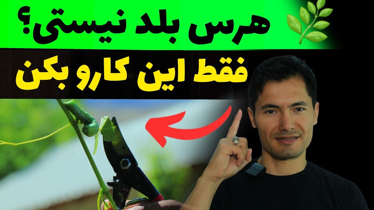 🍎 «با بریدن همین شاخه، درختت دو برابر حاصل می‌دهد!»