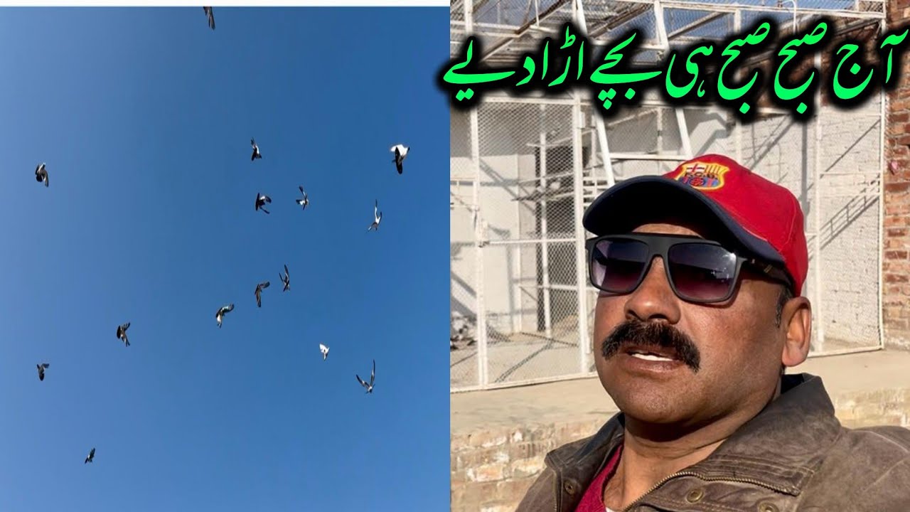 Aaj chat par subha jaldi pohanch gaya 👍|| Ustad ch kamran 