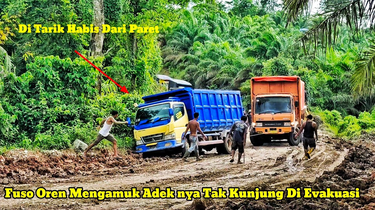 Truck Canter Ditarik Paksa|| Fuso Oren Mengamuk Melihat Tak Kunjung Di Evakuasi