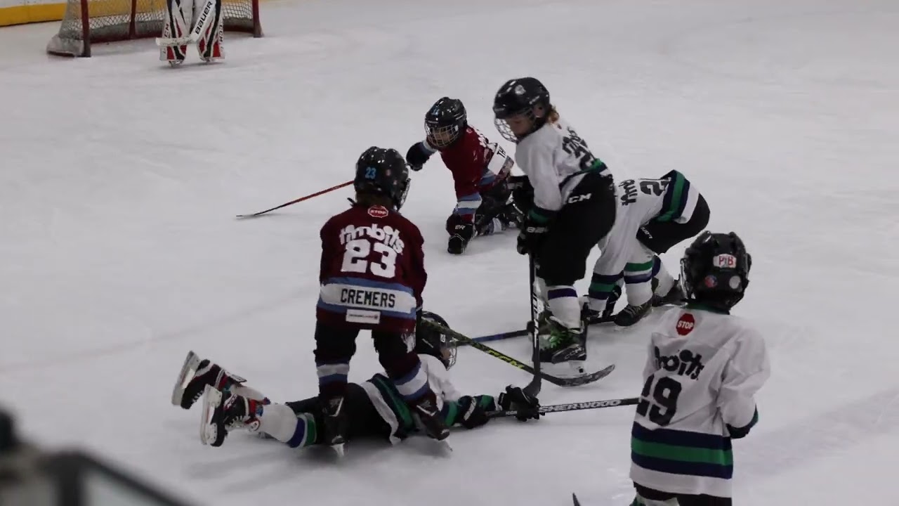 Minor Hockey (u8) Cloverdale Cobras vs Langley Avalanche (March 8th, 2023)