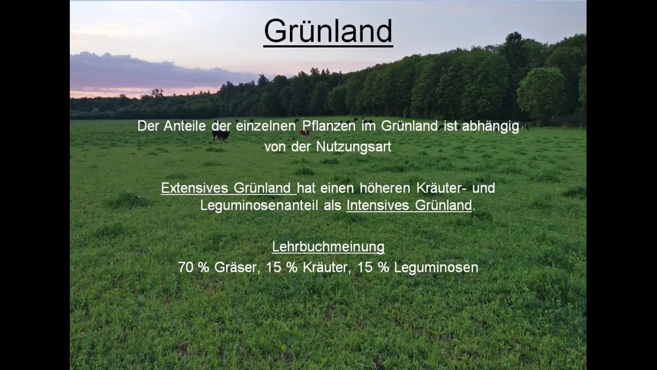 Grünland Teil 1