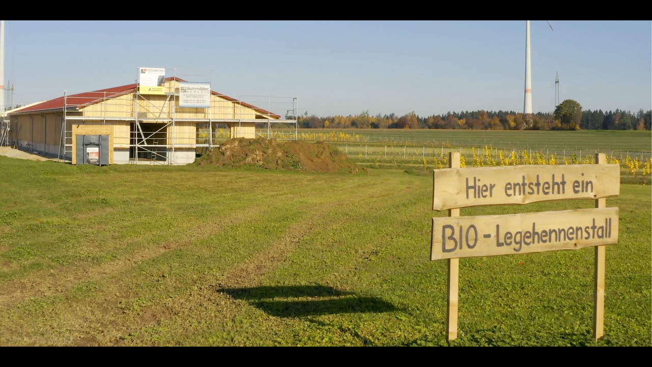 Ein Zuhause für die Biohennen – wie ein Bio-Hühnerstall entsteht.