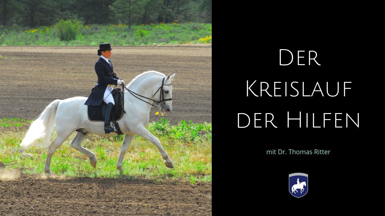 Der Kreislauf der Hilfen