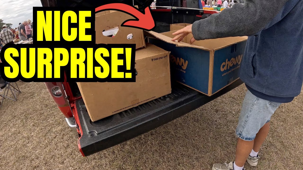 Back of the Truck Surprise: Hidden Cards at the Flea Market!